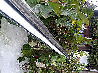 Handlauf LED-Beleuchtung